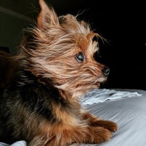 Meet your Posher, Aimee